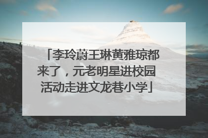 李玲蔚王琳黄雅琼都来了，元老明星进校园活动走进文龙巷小学