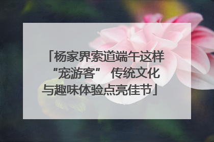 杨家界索道端午这样“宠游客” 传统文化与趣味体验点亮佳节
