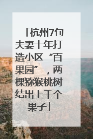 杭州7旬夫妻十年打造小区“百果园”，两棵猕猴桃树结出上千个果子