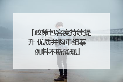 政策包容度持续提升 优质并购重组案例料不断涌现
