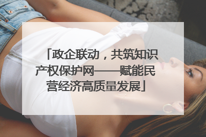 政企联动，共筑知识产权保护网——赋能民营经济高质量发展