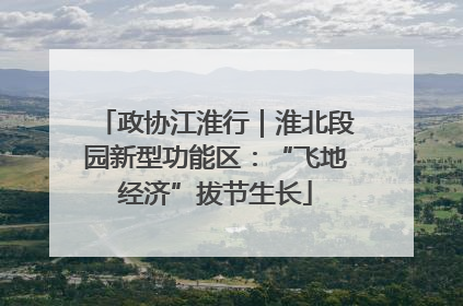 政协江淮行｜淮北段园新型功能区：“飞地经济”拔节生长