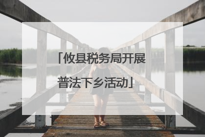 攸县税务局开展普法下乡活动