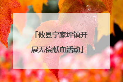 攸县宁家坪镇开展无偿献血活动