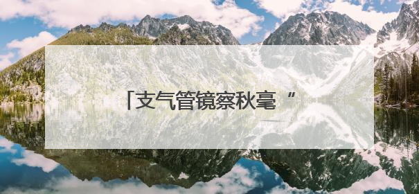支气管镜察秋毫“镜”到病除惠民生