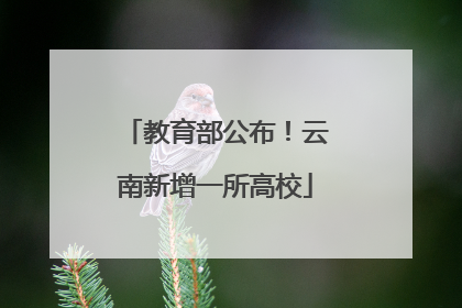 教育部公布！云南新增一所高校
