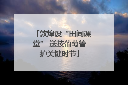 敦煌设“田间课堂” 送技葡萄管护关键时节