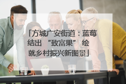 方城广安街道：蓝莓结出 “致富果” 绘就乡村振兴新图景