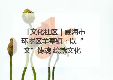 文化社区｜威海市环翠区羊亭镇：以“文”铸魂 绘就文化社区新画卷