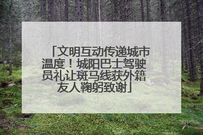 文明互动传递城市温度！城阳巴士驾驶员礼让斑马线获外籍友人鞠躬致谢