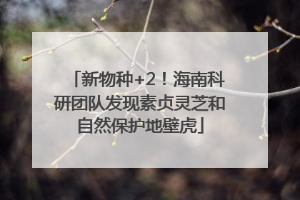 新物种+2！海南科研团队发现素贞灵芝和自然保护地壁虎