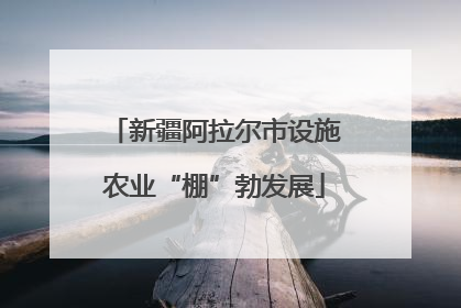 新疆阿拉尔市设施农业“棚”勃发展