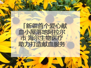 新疆首个爱心献血小屋落地阿拉尔市 海尔生物医疗助力打造献血服务新模式