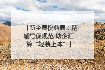 新乡县税务局：精辅导促规范 助企汇算“轻装上阵”