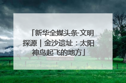 新华全媒头条·文明探源｜金沙遗址：太阳神鸟起飞的地方