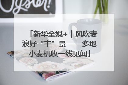 新华全媒+｜风吹麦浪好“丰”景——多地小麦机收一线见闻