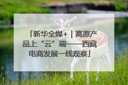 新华全媒+｜高原产品上“云”端——西藏电商发展一线观察