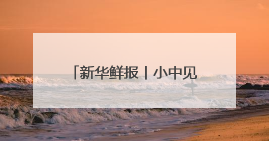 新华鲜报丨小中见大！这个博览会专为全球中小企业搭台