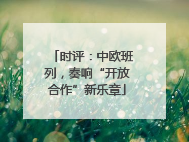 时评：中欧班列，奏响“开放合作”新乐章