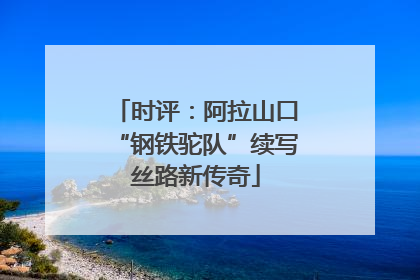 时评：阿拉山口“钢铁驼队”续写丝路新传奇