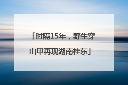 时隔15年，野生穿山甲再现湖南桂东