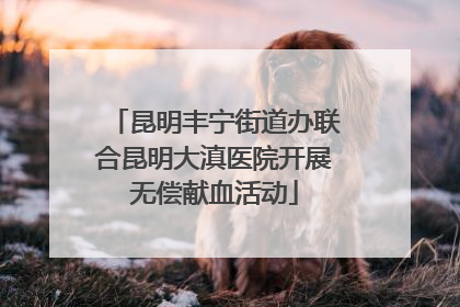 昆明丰宁街道办联合昆明大滇医院开展无偿献血活动
