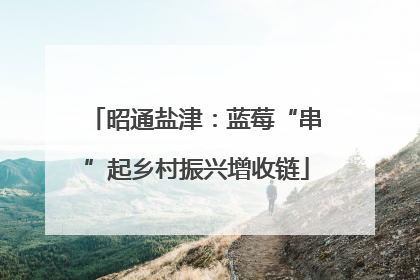 昭通盐津：蓝莓“串”起乡村振兴增收链