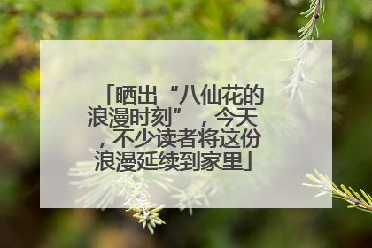 晒出“八仙花的浪漫时刻”，今天，不少读者将这份浪漫延续到家里