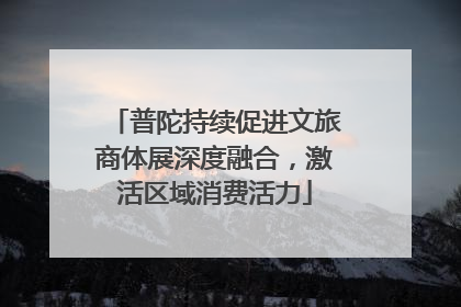 普陀持续促进文旅商体展深度融合，激活区域消费活力