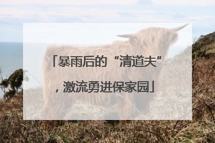 暴雨后的“清道夫”，激流勇进保家园