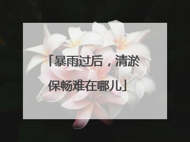 暴雨过后，清淤保畅难在哪儿