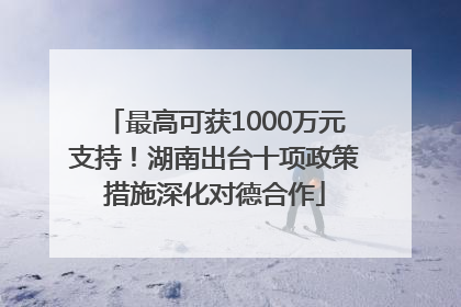 最高可获1000万元支持！湖南出台十项政策措施深化对德合作