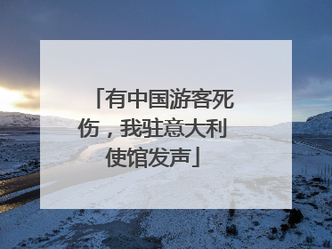 有中国游客死伤，我驻意大利使馆发声