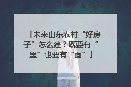 未来山东农村“好房子”怎么建？既要有“里”也要有“面”