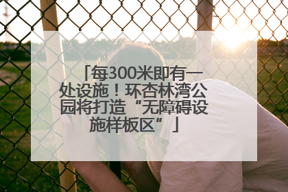 每300米即有一处设施！环杏林湾公园将打造“无障碍设施样板区”