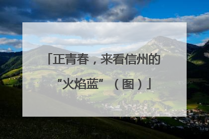 正青春，来看信州的“火焰蓝”（图）