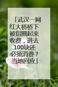 武汉一网红大桥桥下被指圈起来收费，进去100块还必须消费？当地回应