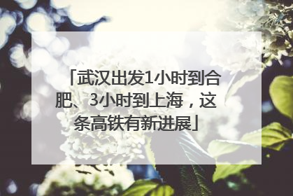 武汉出发1小时到合肥、3小时到上海，这条高铁有新进展