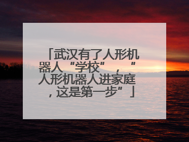 武汉有了人形机器人“学校”，“人形机器人进家庭，这是第一步”