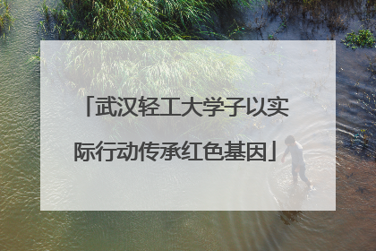 武汉轻工大学子以实际行动传承红色基因