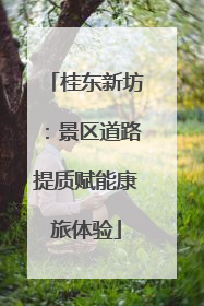 桂东新坊：景区道路提质赋能康旅体验