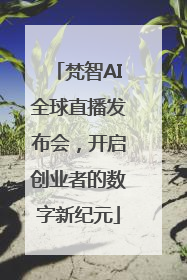 梵智AI全球直播发布会，开启创业者的数字新纪元