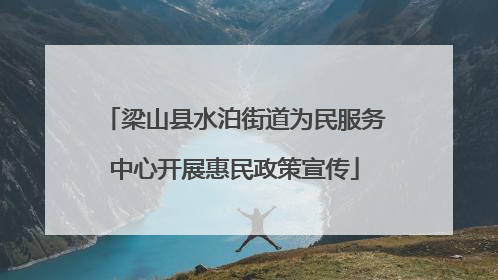 梁山县水泊街道为民服务中心开展惠民政策宣传