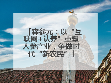 森参元：以“互联网+认养”重塑人参产业，争做时代“新农民”