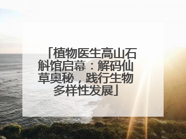 植物医生高山石斛馆启幕：解码仙草奥秘，践行生物多样性发展