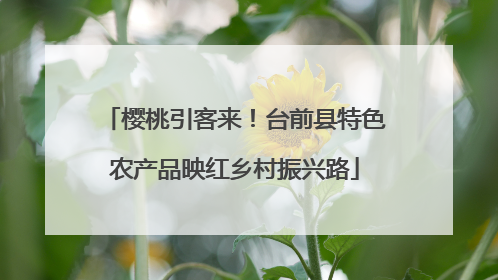 樱桃引客来！台前县特色农产品映红乡村振兴路