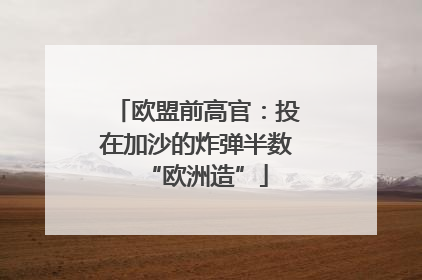 欧盟前高官：投在加沙的炸弹半数“欧洲造”