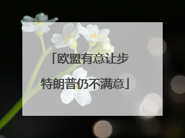 欧盟有意让步 特朗普仍不满意