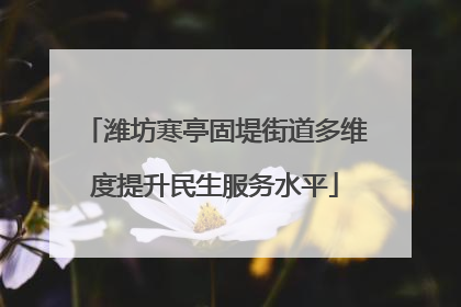潍坊寒亭固堤街道多维度提升民生服务水平