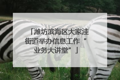 潍坊滨海区大家洼街道举办信息工作“业务大讲堂”